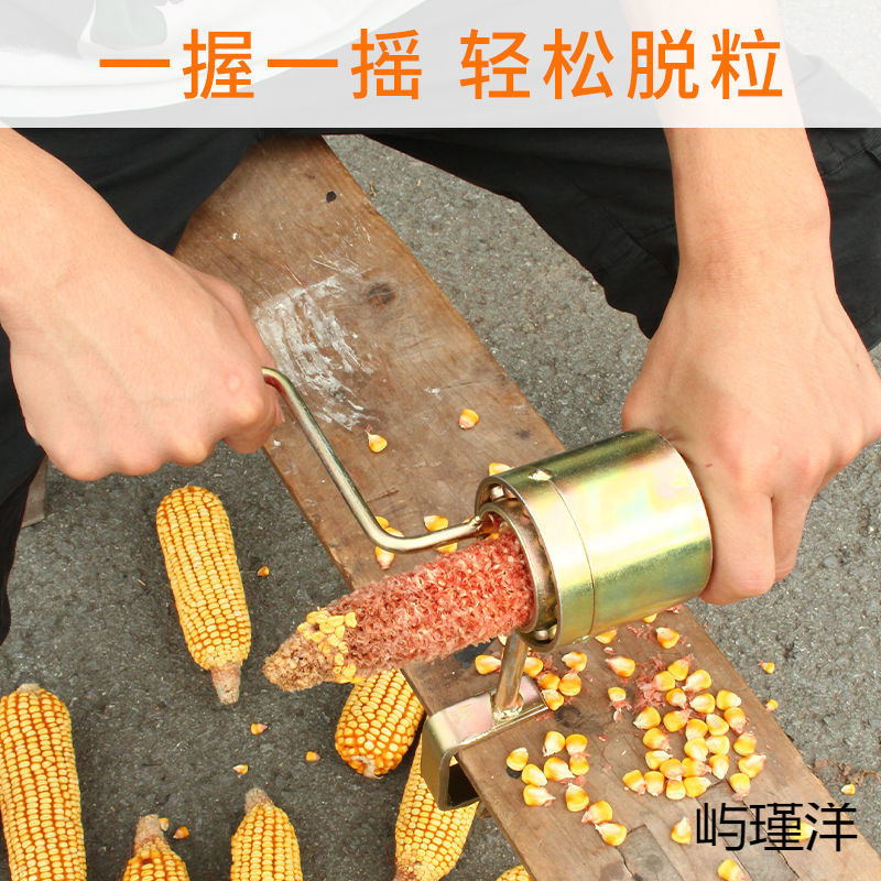 손으로 만든 옥수수 탈진 옥수수 껍질 벗기기 옥수수 인공물 가정용 작은 옥수수 껍질을 벗긴 유물 농업 깨기 마른 옥수수