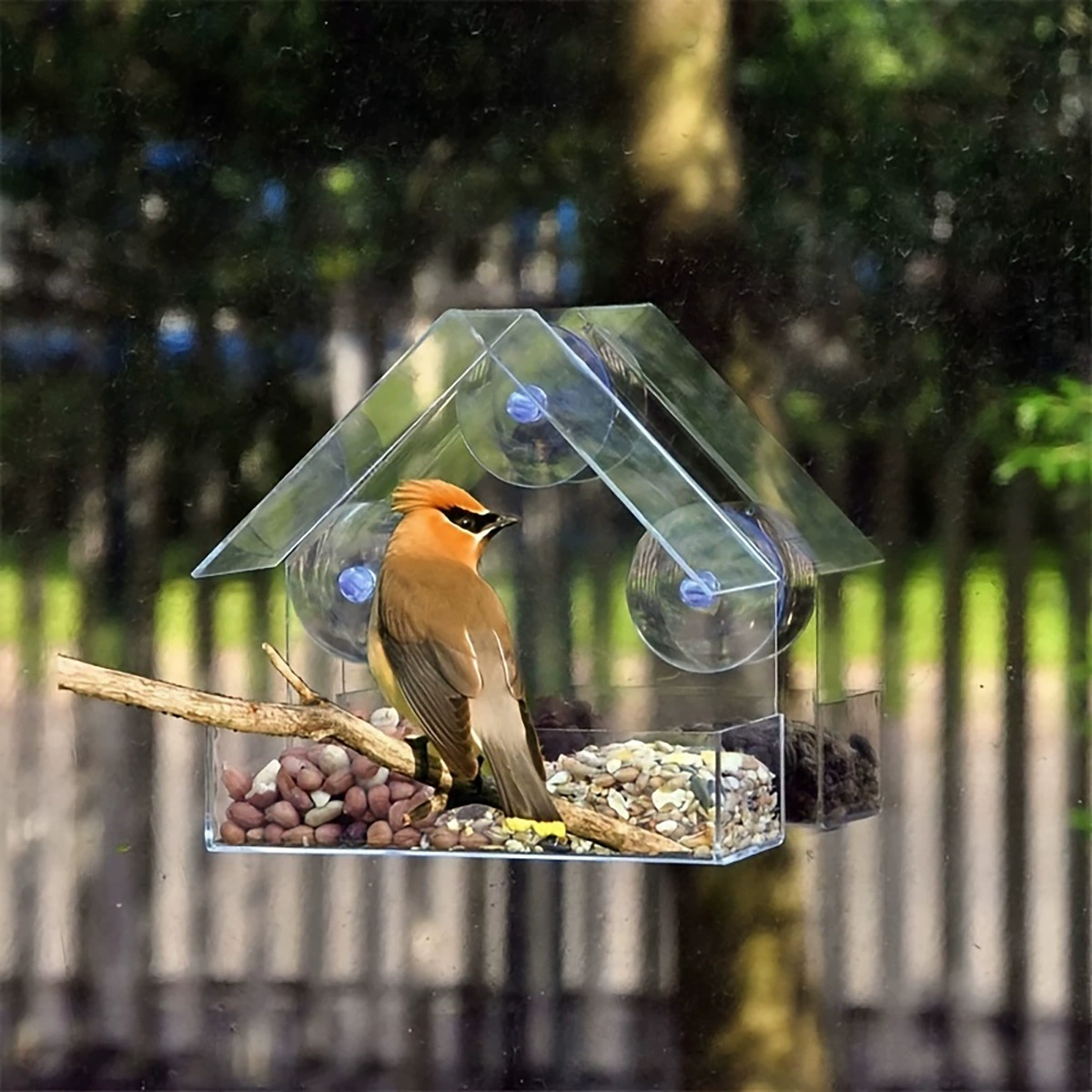 Spot Ackli Bird Cage Free Porch Porching Bird Fedrior Transparent Wall -Mid -Hanging Feed Pet Products