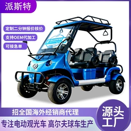 电动观光车;其他电动车;工具车