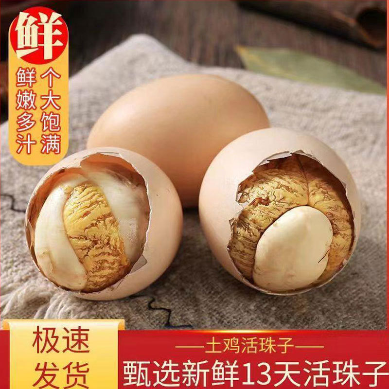 胚五香新鲜3天无毛熟1活珠子即食开袋真空包装香辣钢化蛋鸡蛋鸡蛋|undefined