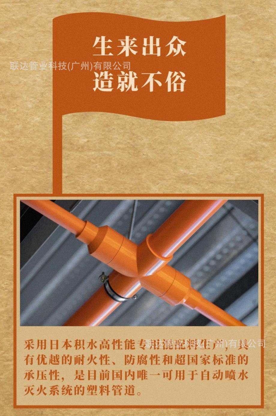 IMG_4546(20231214-231923)