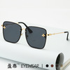 Fashionable sunglasses, 2023 collection, European style