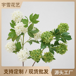 ľ����С���¸�Ʒ�|���滨ˇ5��ѩ���҃ȘӰ��g�b[�O�ٻ����l