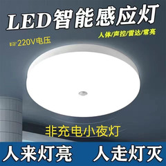 人体誘導天井灯ビル改造三防音光制御誘導灯廊下レーダー誘導led天井灯