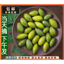 �ꮔ�����r�ϙ츣���خa���ϙ������Ҝ�̴���ϙ�ˮ�����]