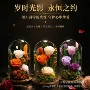 小王子跨境圣诞节情人节玻璃罩
