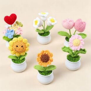 ��Ʒ�羳ᘿ�ë�����տ�����С̫ꖷ��滨С�[���̎������I���Y��