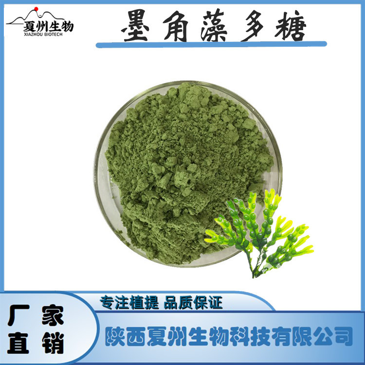 墨角藻多糖 20/30/50% 墨角藻提取物 厂件 水溶 kg