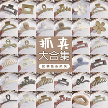 ץAŮ2024¿~A̖ëqllAlץ߼кXװl