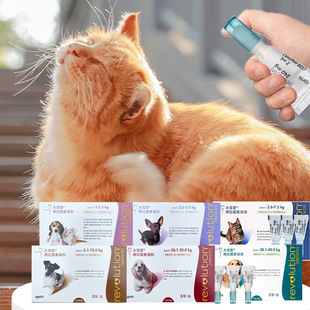 ���\һ�w������ͨ�Ì�����xș�󌙐��w�ȹ�����x؈�����w�ȵ΄�