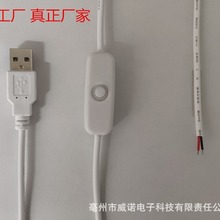 专业开关线厂家  家庭台灯开关线  USB开关电源线*