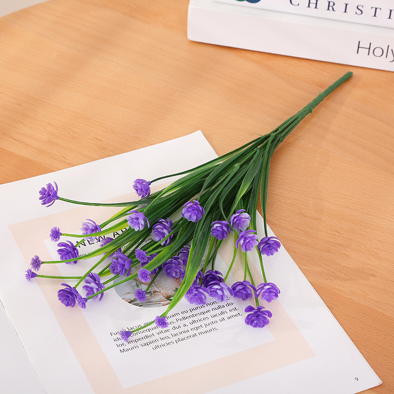 Camelia de hierba de primavera - púrpura - al161 - 136 - 7