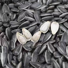 1-5斤油葵瓜子现炒生熟原味油葵562小油葵散装内蒙新货零食向日葵