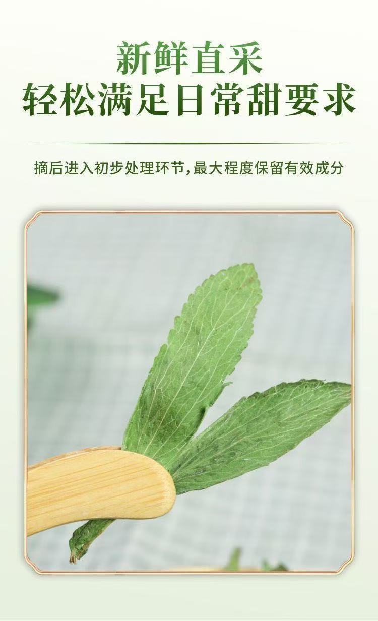 Stevia Leaf Dried Herb Tian Ye Ju Natural Sweetener Herb 100g key features