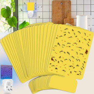 �w�����x��׽����Qճ��ճ�x�nω�����w����������xճ��S��