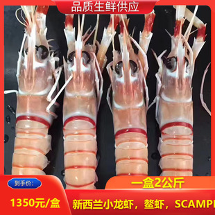 �����m�M��С���r���rscampi˹�ɱ�С���r�ϘO�����r2̖һ��2����