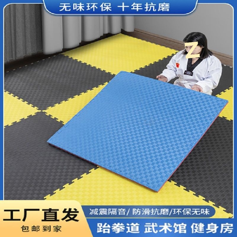Professional Environmentally Friendly Taekwondo Thickeneded Training Sanda Dance Fighting Kindergarten Hip-Hop Martial Arts Foam Special Mat