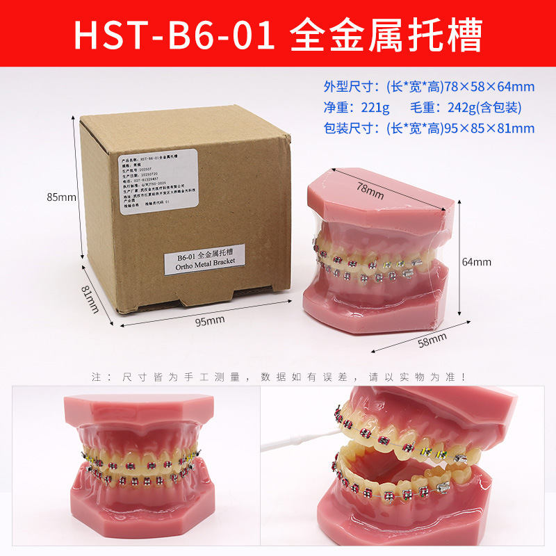 Modelo de ortodoncia dental semi-metal semibrackets Práctica de corrección de molde dental estándar Comunicación médico-paciente Modelo de enseñanza Modelo dental