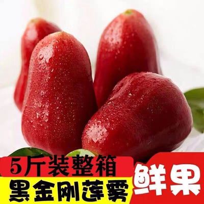 Wax apple fruit Season Hainan Black Edition Fresh 5 Tropical 3
