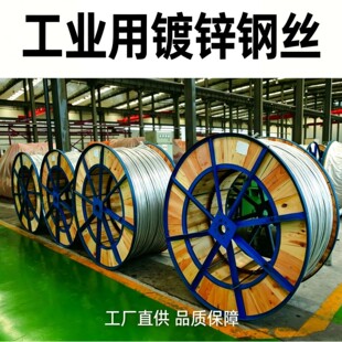 �S�Ҍ��I�ṩ12���䓽g�� �ߏ���䓽g�������|�r�I䓽g��