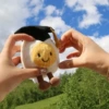 Doctor's Egg