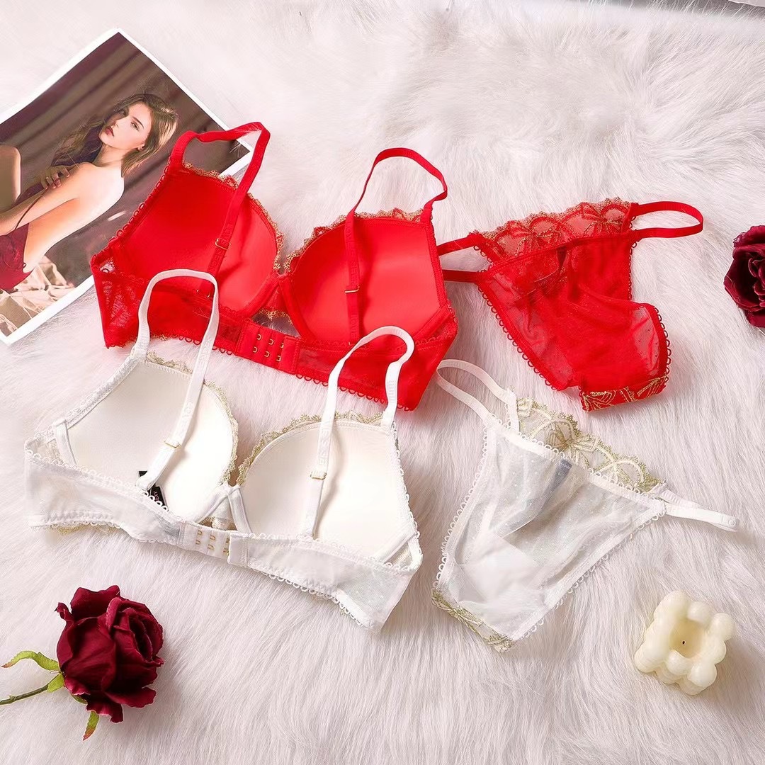 Novo conjunto de sutiã bordado feminino 2023_voghion.com