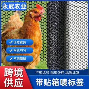 �Bֳ�W�B�u�����r©�S�W�|�̨���o�z�WС���B��W���ھW����ƽ�W