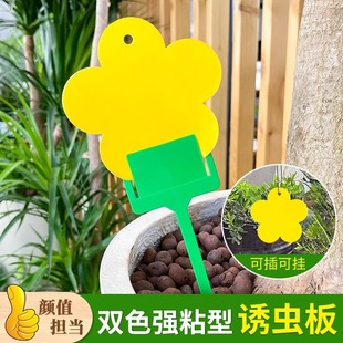 �S��ճ�x���E�R�����p����x�S�{�T�x��С���wճ�x���ļ��҃Ȍ���