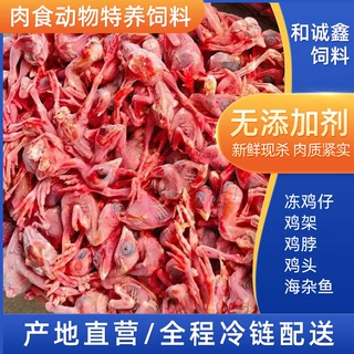 娃娃鱼喂食动物饲料蛇鹰鳄龟特养饲料新鲜冷冻小鸡仔加工