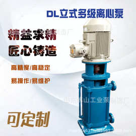 DL立式多级离心泵高扬程耐磨增压泵抽水泵耐用380伏离心泵水循环