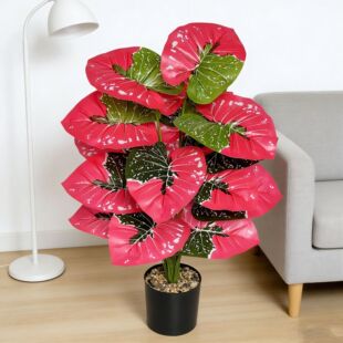 �羳����Gֲ���Ե�ˮ�^���ۼt�ٻ��Ꭷ�٘�Ҿ����ֲ��߷���