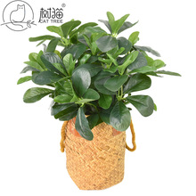 ���渣��ͩ�����~�ָм��~��С�������_ľ�@�־��^�b�ͩ�����l