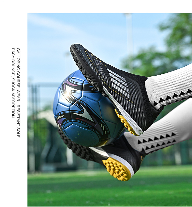 4_05.jpg?x-oss-process=image/format,png
