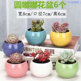 Succulent Flower Pot Ceramic Pot Multicolored Ceramic Flower Pot Succulent Potted Beautiful Plant Flower Potted Wei Dong Wei Wei Dong