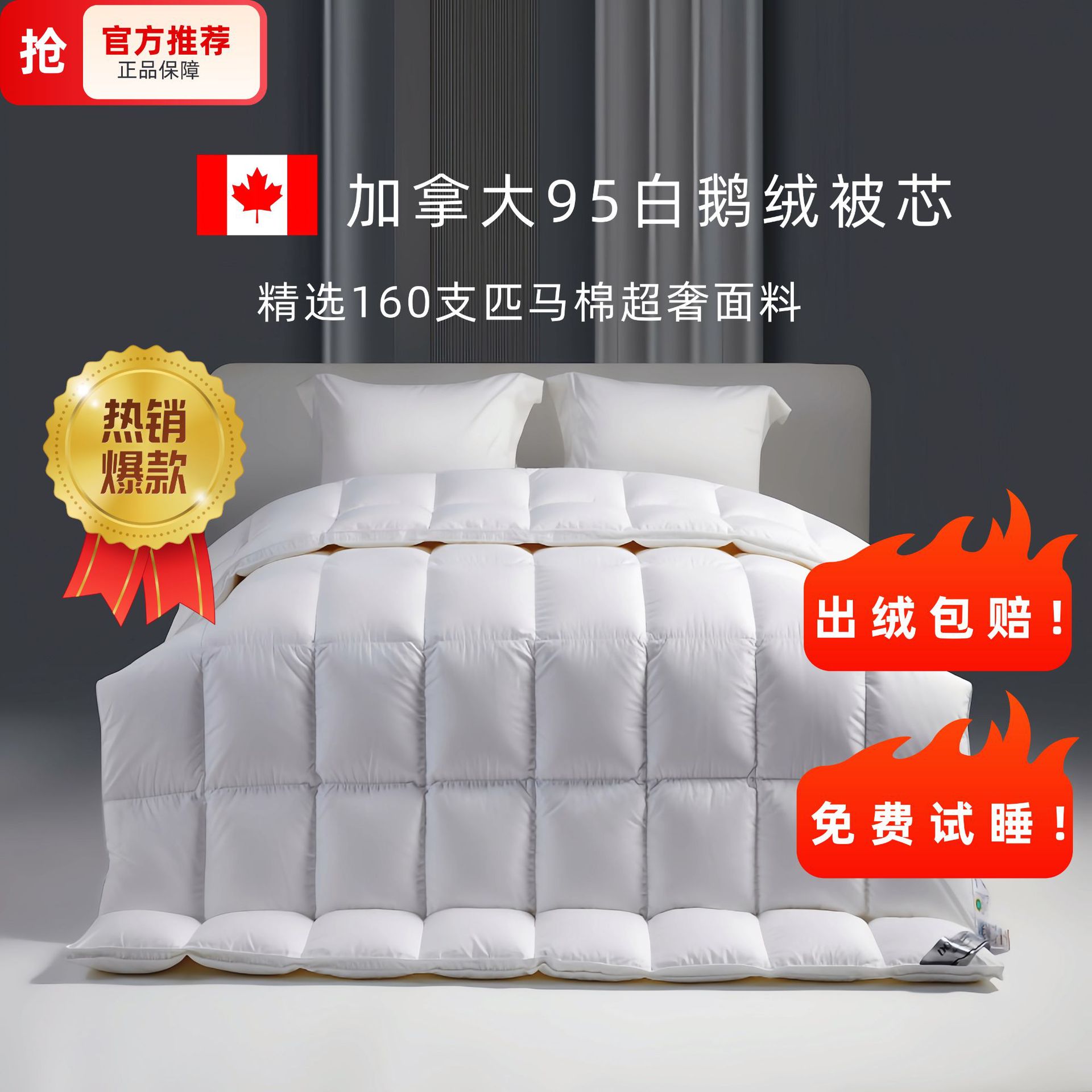 正品加拿大95白鹅绒160支纯全棉A类夏凉被春秋季冬天羽绒被子被芯