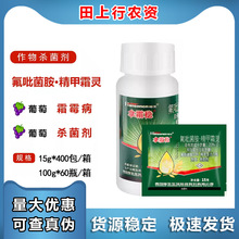 �����˪��20%��������&middot;����˪�` ����˪ù�����������rș������