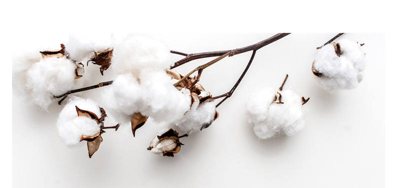 4.jpg?x-oss-process=image/format,png