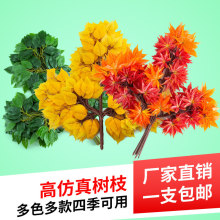 ��֦�Ř��~�y���~�҃ȼ٘�Gɫ�~�ӹ����쾰���ϾG�~ֲ���b�