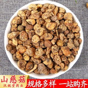 �в�șɽ�ȹ����l ɽ�Ĺ� ë�ȹ� ��ȹ� ������ �F؛