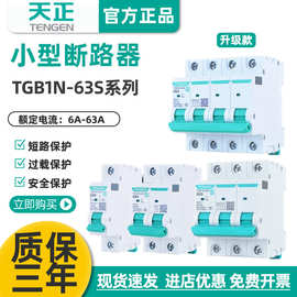 TENGEN天正TGB1N-63S空气开关1P2P3P4P空开断路器32A家用63A电闸