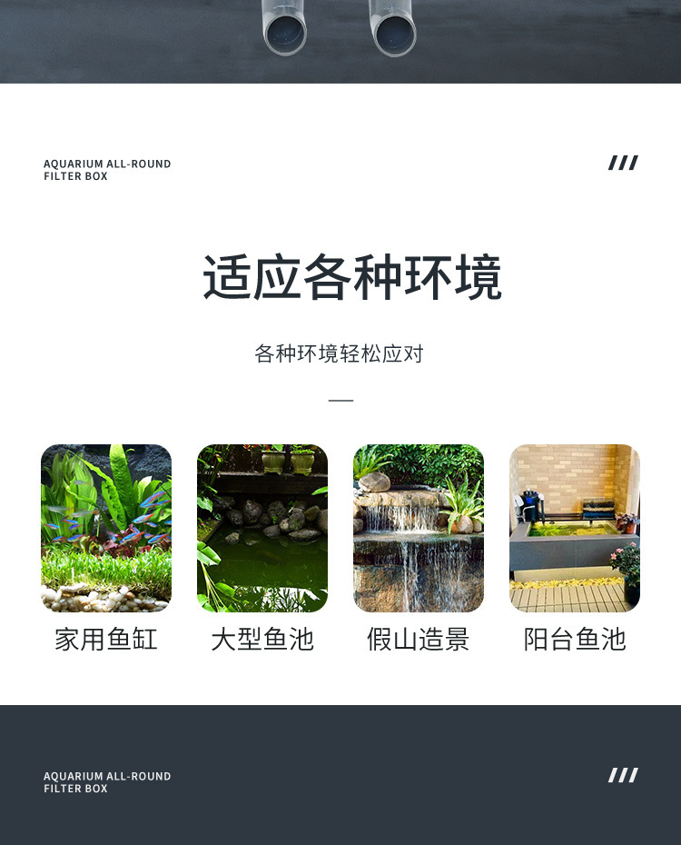 1be3226a-c68b-4551-b5e2-c46febee6425.jpe