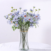 С�r�շ��滨��֧������@�L�ٻ� �͏d�b�Y�Ĕz���� ����Gֲ