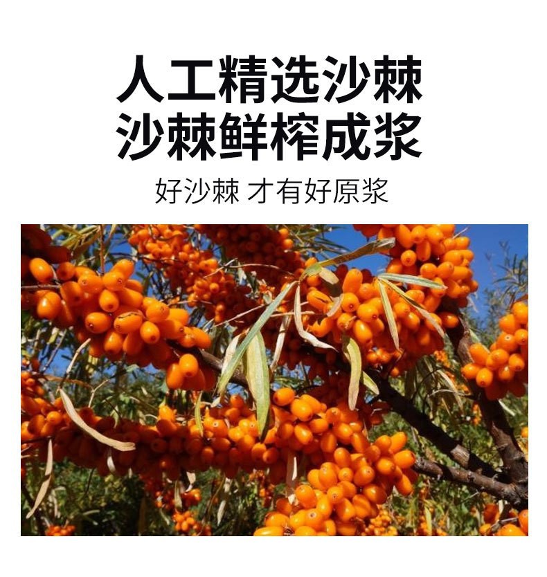 Wild Sea Buckthorn Juice Puree Bulk 200kg Whole Barrel Wholesale Inner Mongolia Small Fruit specifications
