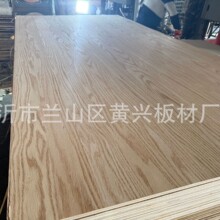 �t��ľ�����z�ϰ��p���N�t��h���Ҿ߰匍ľ���Ӱ��b���N����