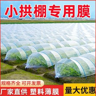 Transparent Plastic Film for Agricultural Vegetable Planting Small Arch Shed Film Special Film for Agricultural Use Plastic Cloth Thermal Insulation Film for Cold-proof Greenhouse