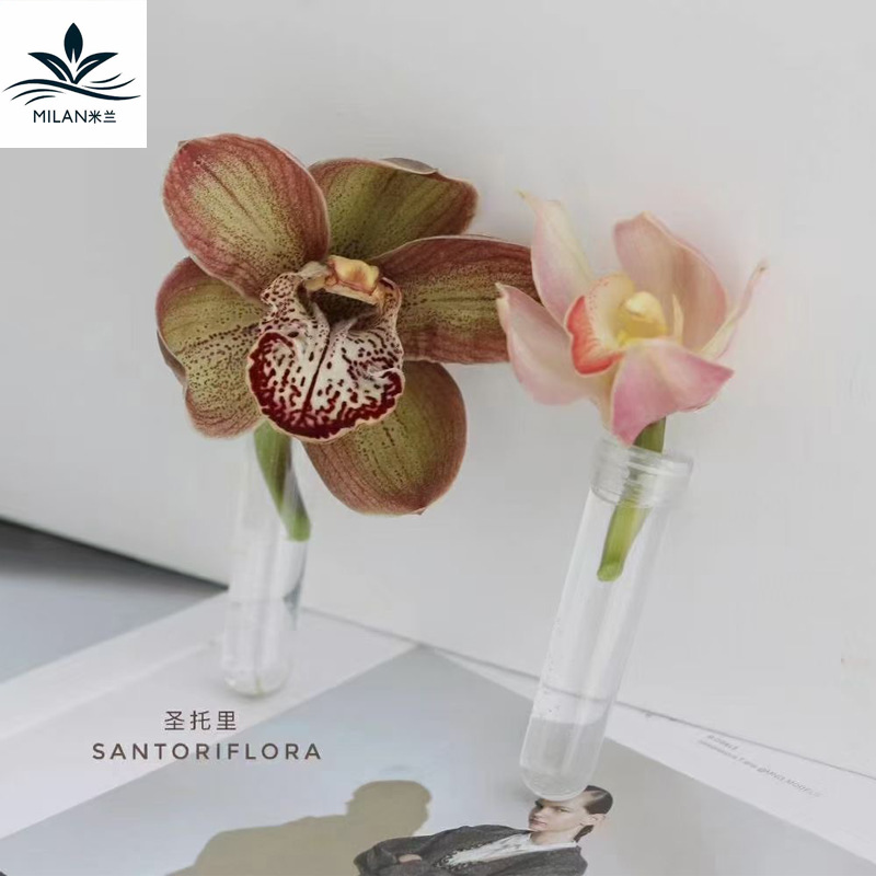 Orquídea de mariposa alargada tubo de orquídea de mariposa flor fresca tubo de nutrición transporte de flores tubo de almacenamiento de agua material de herramientas de flores DIY