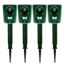 ƺst⾀ӳÑͥԺ򌹷