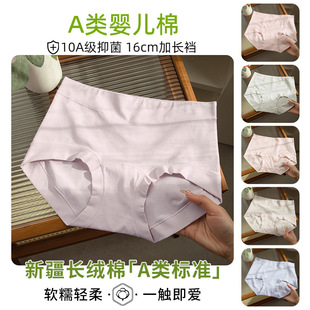 高腰抗菌女士内裤