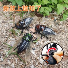 仿真爬行动物新款上链条知了发条玩具昆虫创意玩具夏蝉金蝉模型