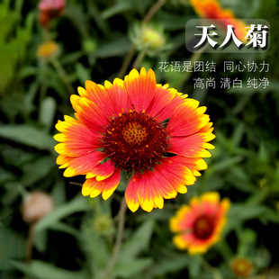 ���˾շN�Ӷ������޸��ͺ��ͺ��͟Ứ�󻨶໨�܈@ˇ���N��ͥԺ